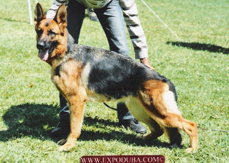 Venus Du Mas Du Meysonial