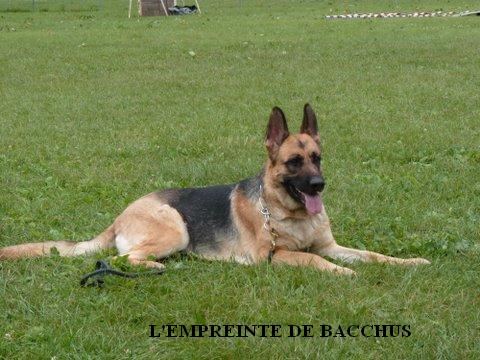 Djudie Du Mas Du Meysonial