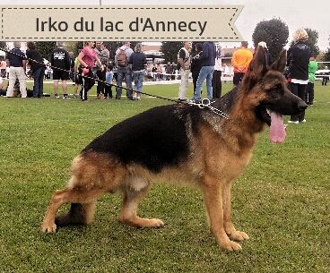 Irko du Lac d'Annecy