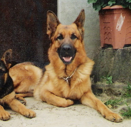 Orkan